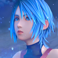 Riku's Hair